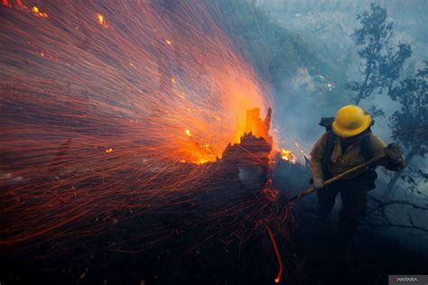 Wildfires in Los Angeles are still ongoing as of today, January 22, 2025